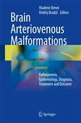 Book cover of Brain Arteriovenous Malformations by Vladimír Beneš
