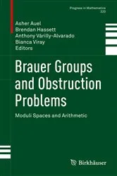 Book cover of Brauer Groups and Obstruction Problems by Asher Auel