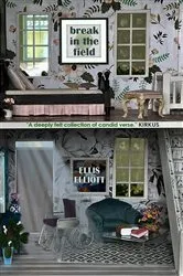 Book cover of Break in the Field by Ellis Elliott