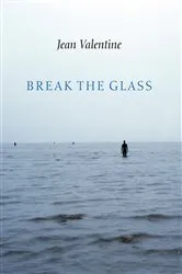 Book cover of Break the Glass by Unknown