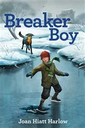 Book cover of Breaker Boy by Joan Hiatt Harlow