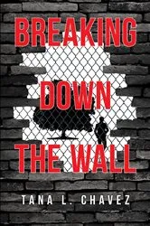 Book cover of Breaking Down The Wall by Maximillian Jones