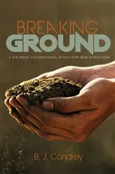 Book cover of Breaking Ground by Susan Noyes Platt