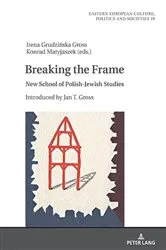 Book cover of Breaking the Frame by Irena Grudzinska-Gross