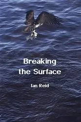 Book cover of Breaking the Surface by Ian Reid