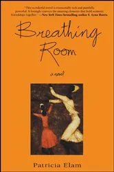 Book cover of Breathing Room by Marsha Hayles