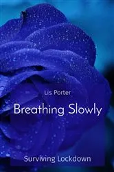 Book cover of Breathing Slowly by Lis Porter