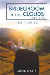 Book cover of Bridegroom in the Clouds by Susan Shultz
