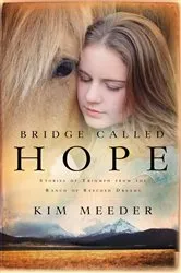 Book cover of Bridge Called Hope by Kim Meeder