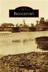 Book cover of Bridgeport by Judy Barrett