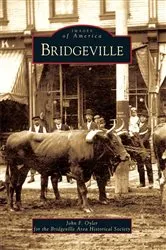 Book cover of Bridgeville by John F. Oyler