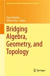 Book cover of Bridging Algebra, Geometry, and Topology by Denis Ibadula