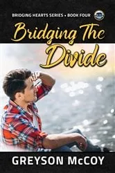 Book cover of Bridging the Divide by Anurag Anurag