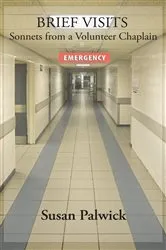 Book cover of Brief Visits by Susan Palwick