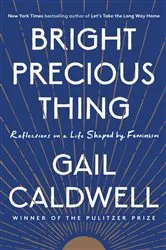 Book cover of Bright Precious Thing by Unknown