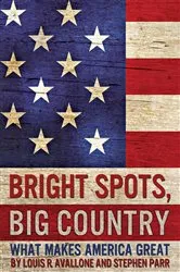 Book cover of Bright Spots, Big Country by Louis R. Avallone