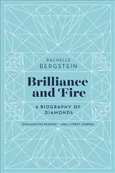 Book cover of Brilliance and Fire by Rachelle Bergstein