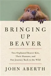 Book cover of Bringing Up Beaver by John Aberth