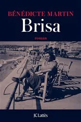 Book cover of Brisa by Bénédicte Martin