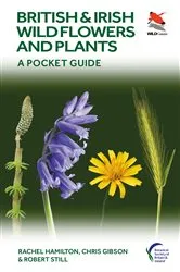 Book cover of British and Irish Wild Flowers and Plants by Rachel Hamilton