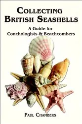 Book cover of British Seashells by Paul Chambers