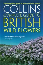 Book cover of British Wild Flowers by Paul Sterry