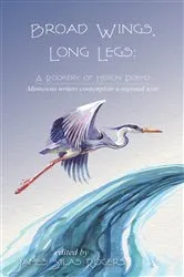 Book cover of Broad Wings, Long Legs by James Silas Rogers