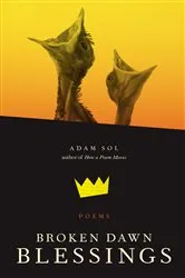 Book cover of Broken Dawn Blessings by Adam Sol