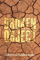 Book cover of Broken Object by Unknown
