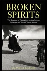 Book cover of Broken Spirits by John P. Wilson