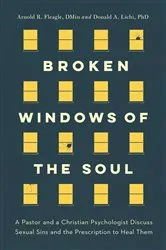 Book cover of Broken Windows of the Soul by Fleagle, DMin, Arnold R.