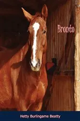 Book cover of Bronto by Hetty Burlingame Beatty