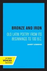 Book cover of Bronze and Iron by Janet Lembke