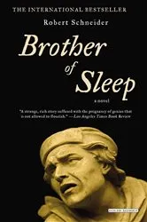 Book cover of Brother of Sleep by Robert Schneider