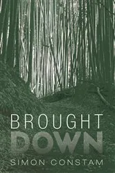 Book cover of Brought Down by Unknown
