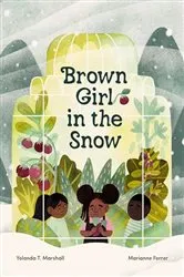 Book cover of Brown Girl in the Snow by Yolanda T. Marshall