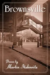 Book cover of Brownsville by Martin Itzkowitz