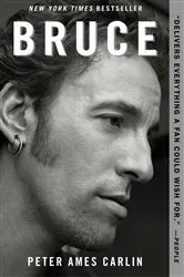 Book cover of Bruce by Albert Payson Terhune