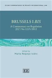 Book cover of Brussels I Bis by Marta Requejo Isidro