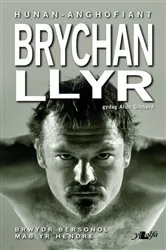 Book cover of Brychan Llyr - Hunan-Anghofiant by Brychan Llyr