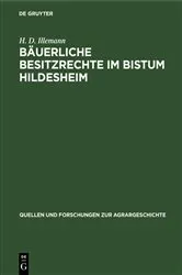 Book cover of Bäuerliche Besitzrechte im Bistum Hildesheim by H. D. Illemann