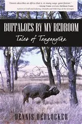 Book cover of Buffaloes by My Bedroom by Dennis Herlocker