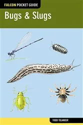 Book cover of Bugs & Slugs by Todd Telander