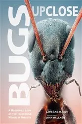 Book cover of Bugs Up Close by Lars-Åke Janzon