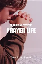 Book cover of Building an Effective Prayer Life by Antonio M Palmer