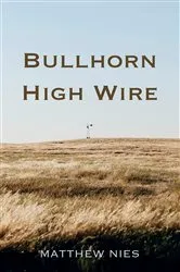 Book cover of Bullhorn High Wire by Matthew Nies