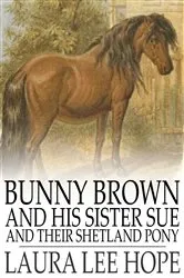 Book cover of Bunny Brown and His Sister Sue and Their Shetland Pony by Laura Lee Hope