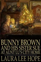 Book cover of Bunny Brown and His Sister Sue at Aunt Lu's City Home by Laura Lee Hope