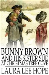 Book cover of Bunny Brown and His Sister Sue at Christmas Tree Cove by Laura Lee Hope