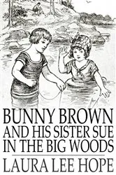 Book cover of Bunny Brown and His Sister Sue in the Big Woods by Laura Lee Hope